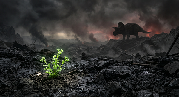 Dinozorları Yok Eden Asteroit Çiçekli Bitkileri Neden Bitiremedi? Bilim İnsanları Genetik Sırrı Çözdü Dinozorları Yok Eden Asteroit Çiçekli Bitkileri Neden Bitiremedi? Bilim İnsanları Genetik Sırrı Çözdü