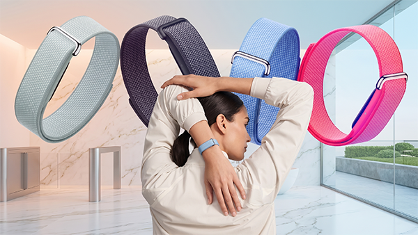 Google Fitbit Air